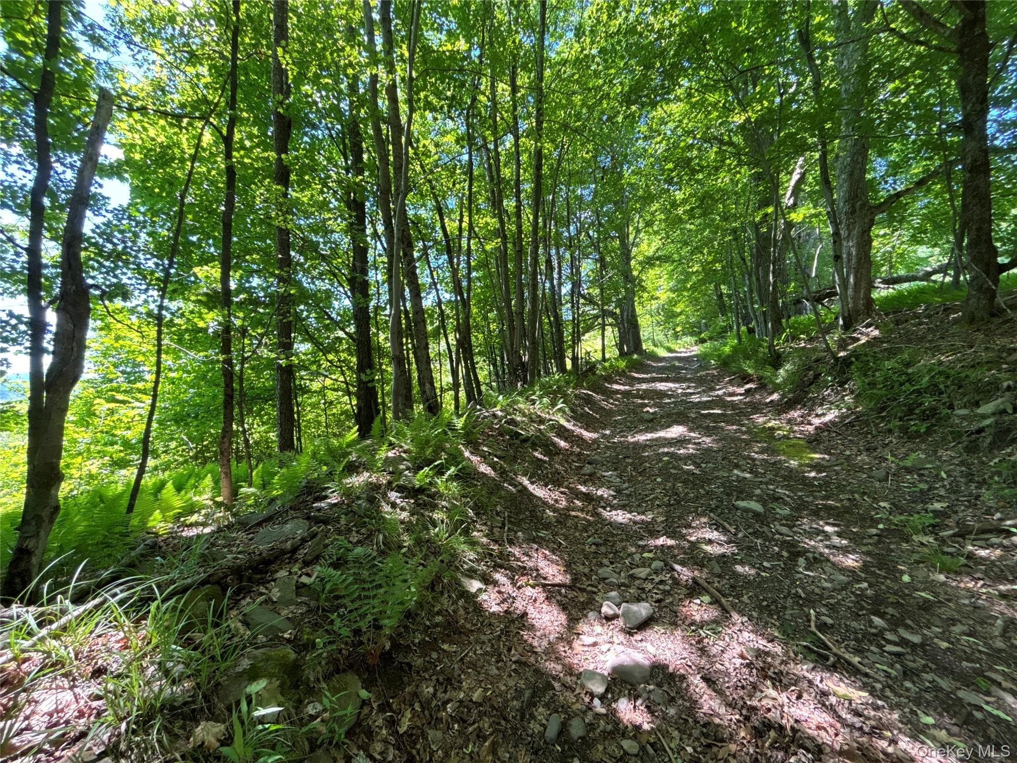 2636 Murphy Hill Road thumbnail 30