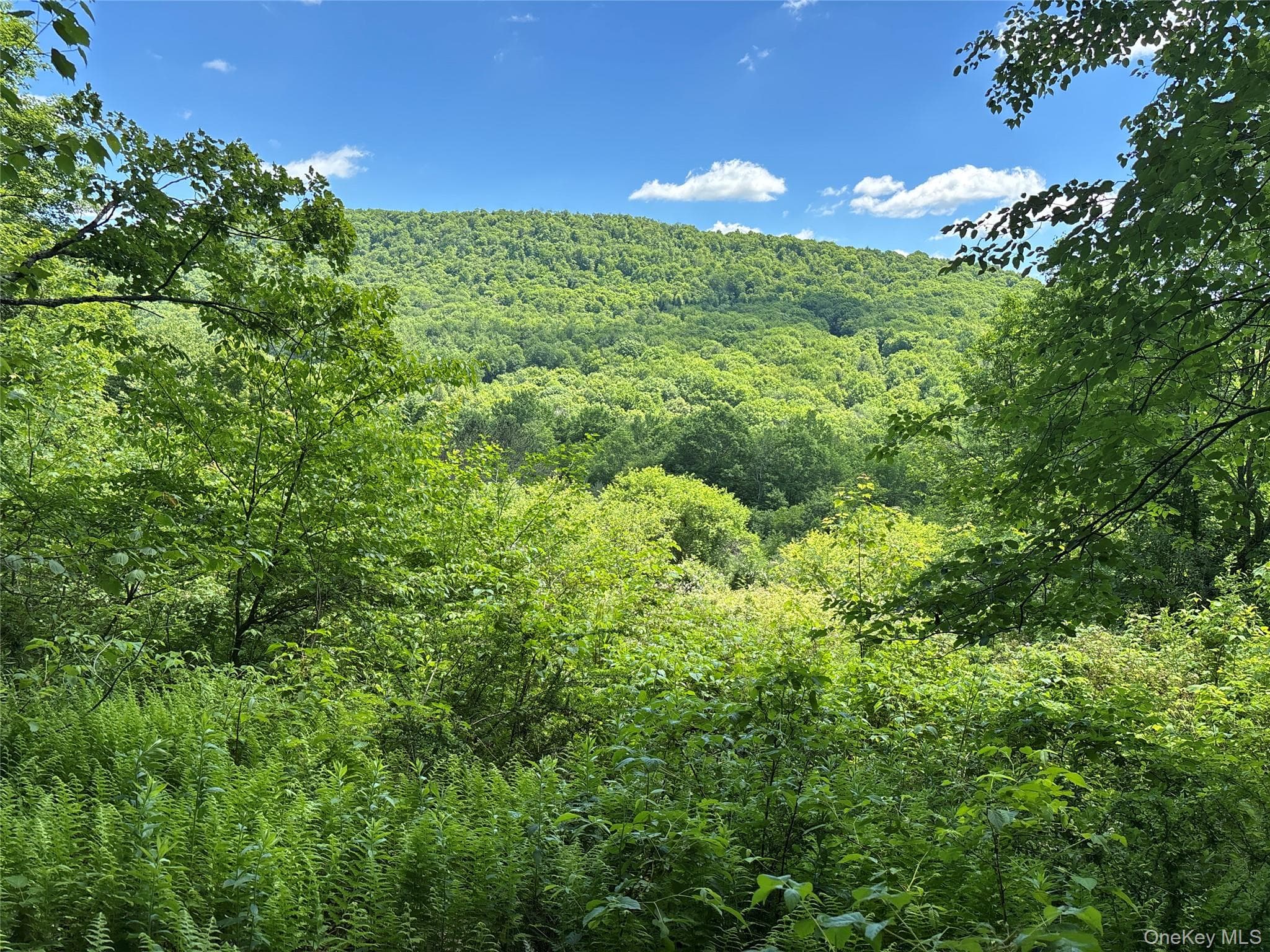 2636 Murphy Hill Road thumbnail 22