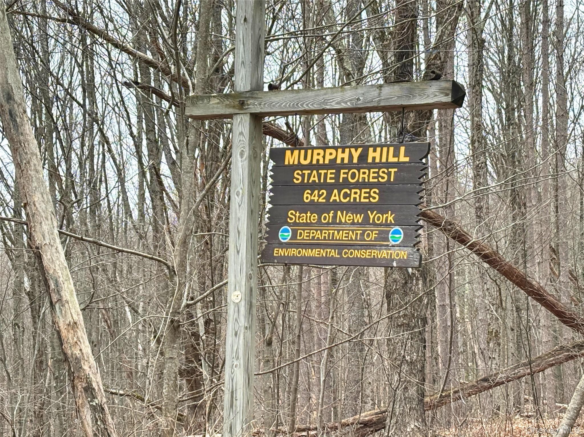 2636 Murphy Hill Road thumbnail 32