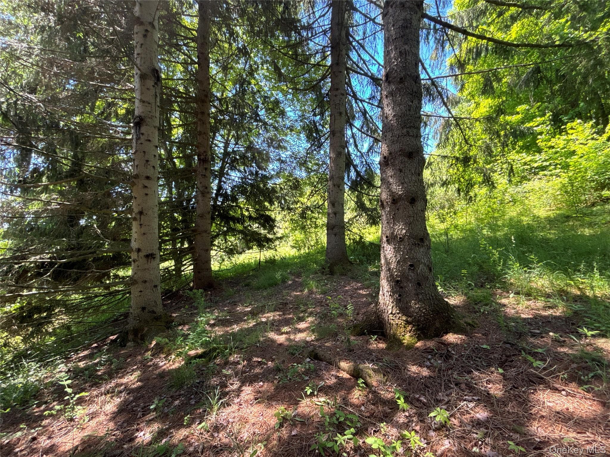 2636 Murphy Hill Road thumbnail 29