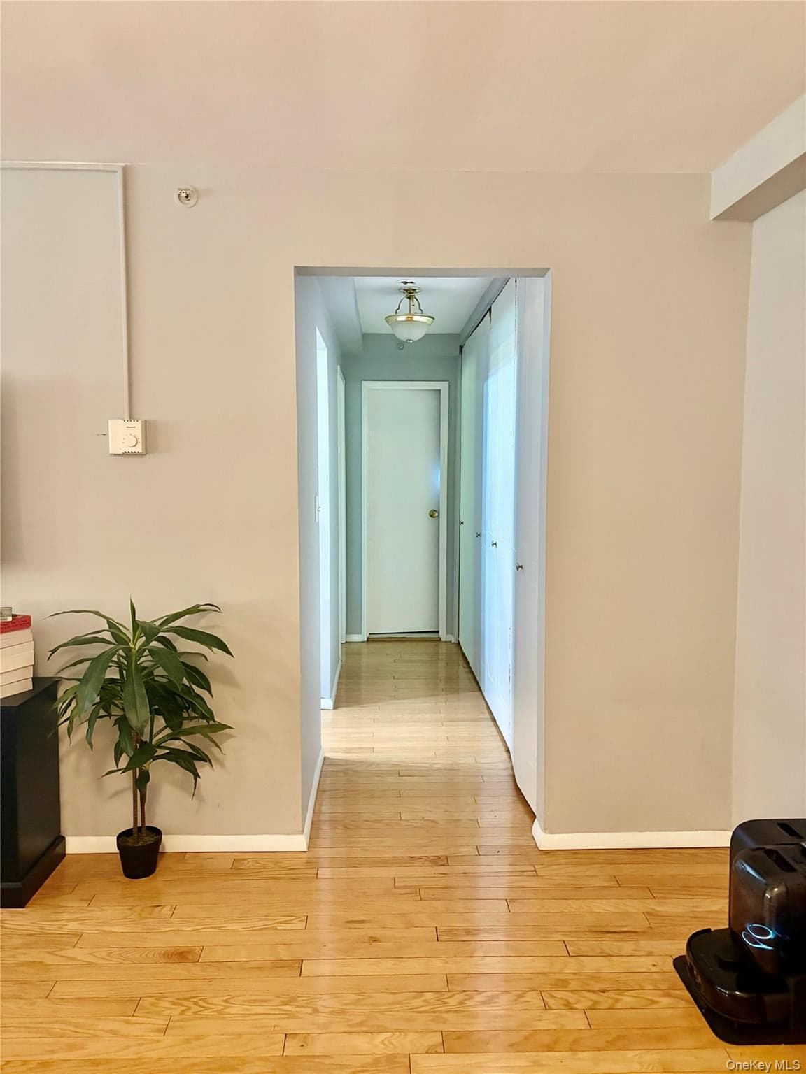 10 Oakwood Terrace Unit: 115 thumbnail 7