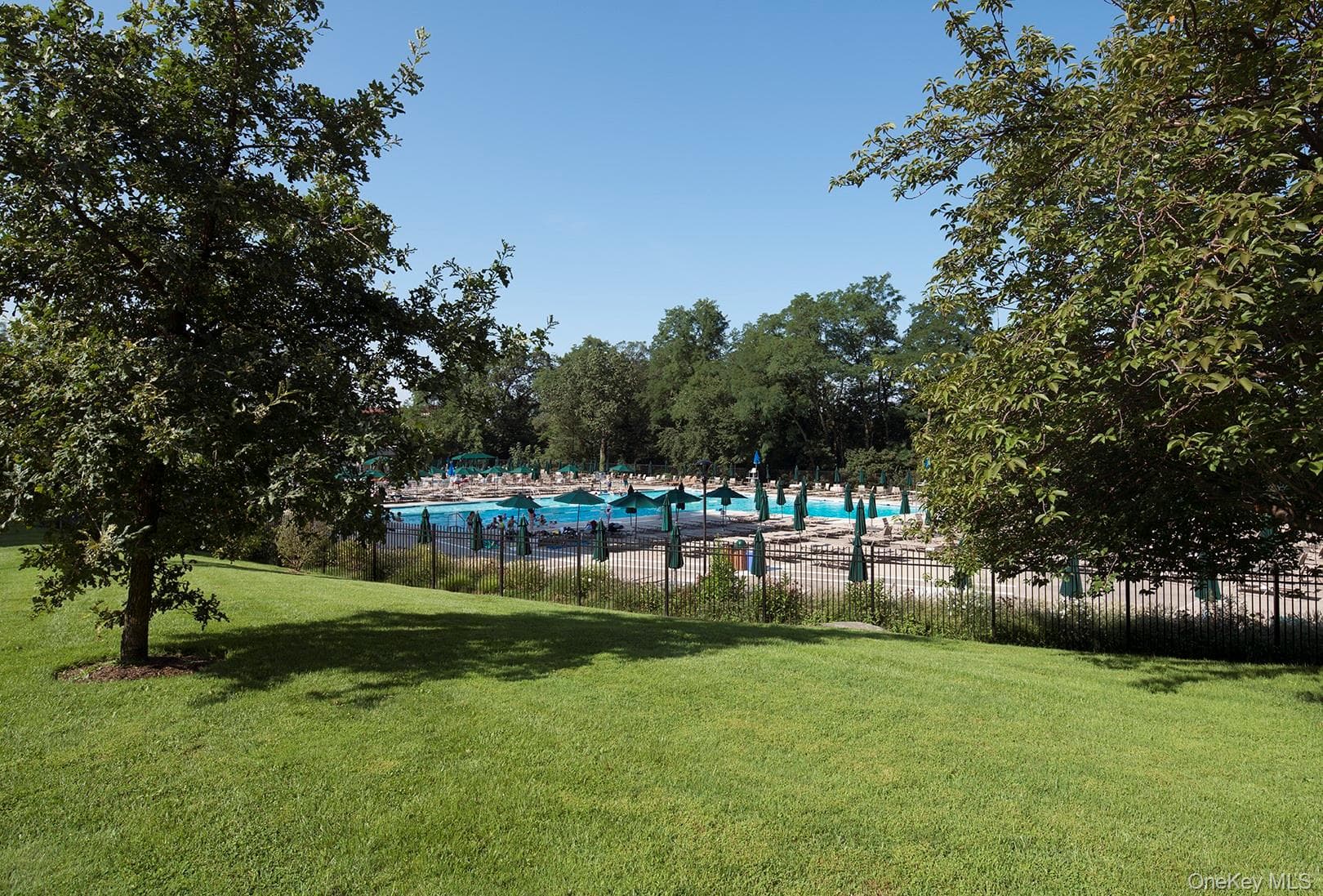 5800 Arlington Avenue Unit: 16N thumbnail 11