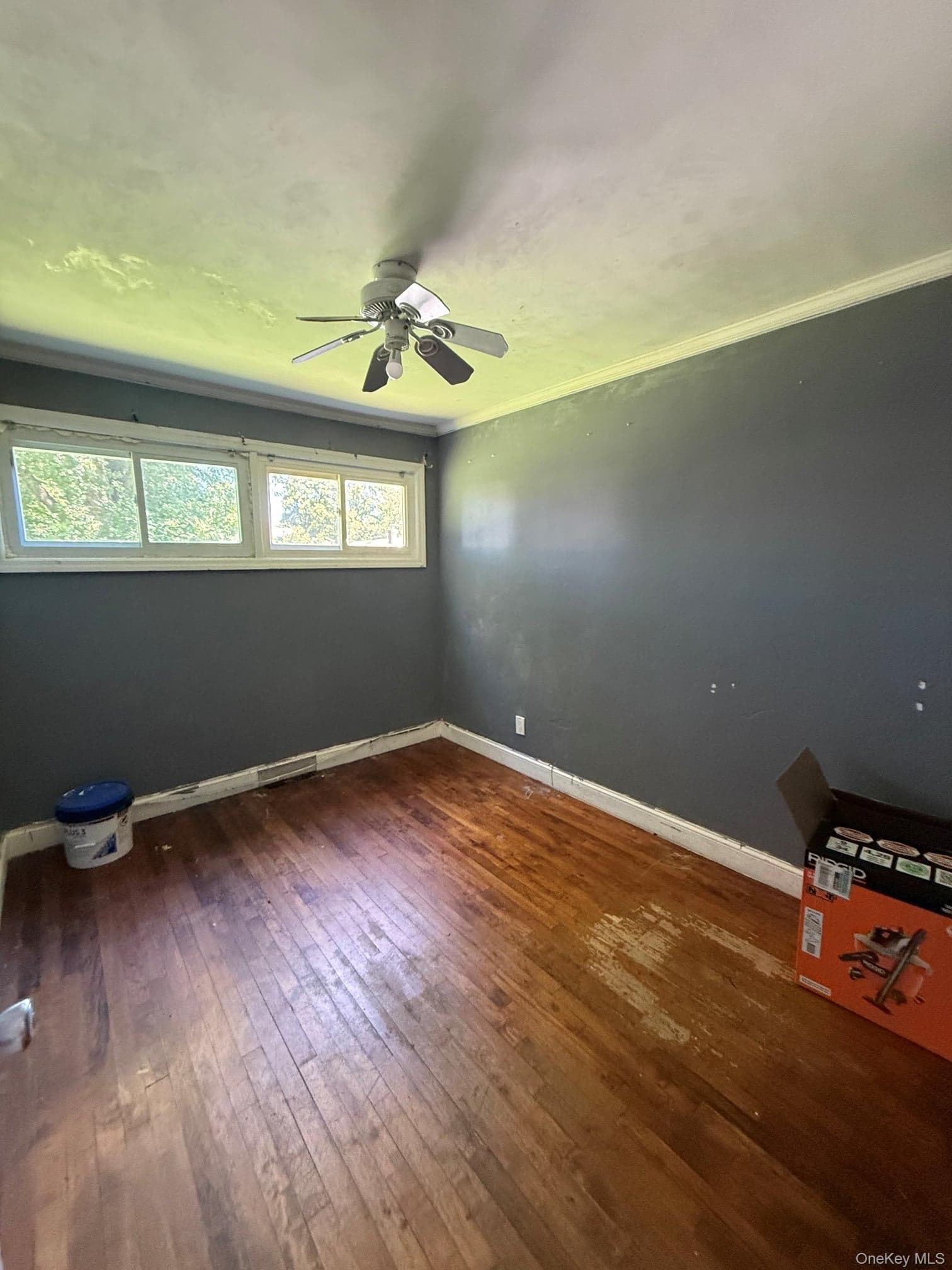 45 Oakley Drive thumbnail 8