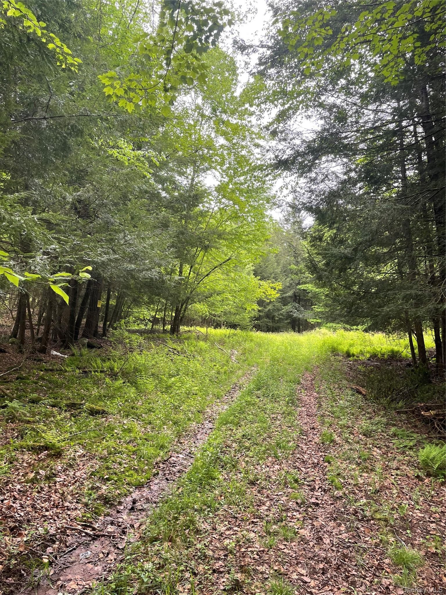 39 Birch Lane thumbnail 19