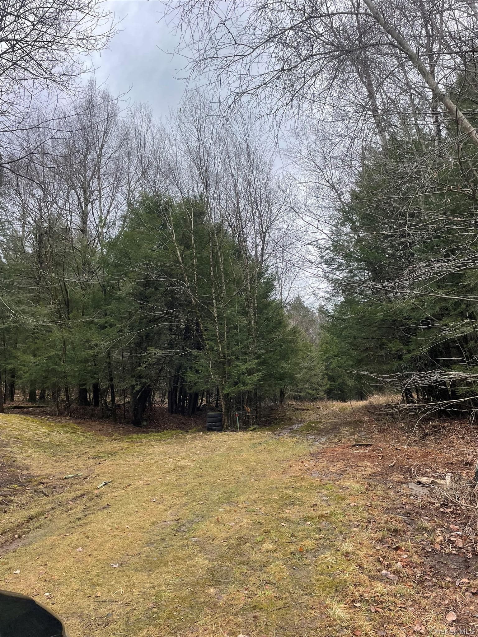 39 Birch Lane thumbnail 7