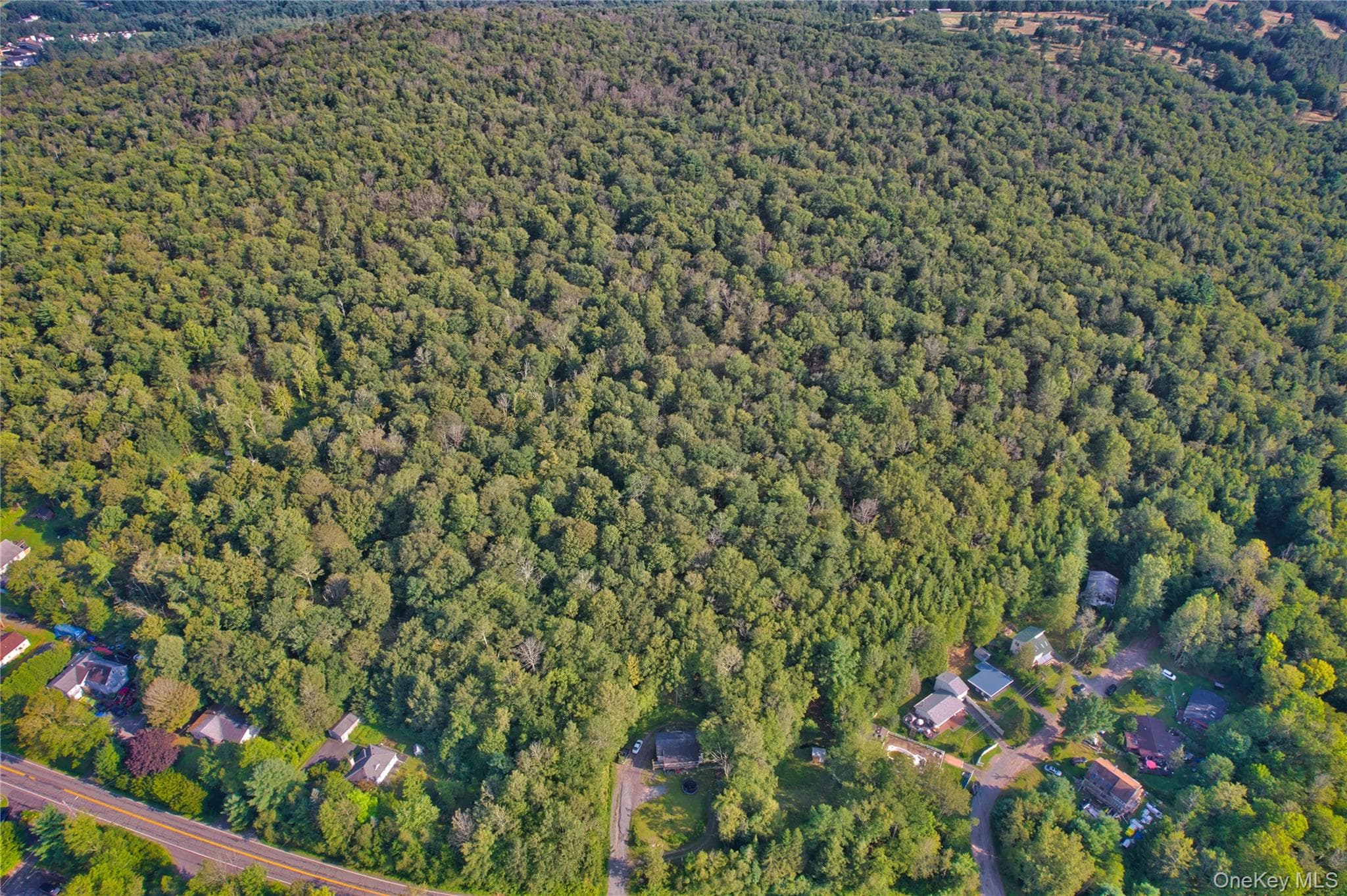 39 Birch Lane thumbnail 4