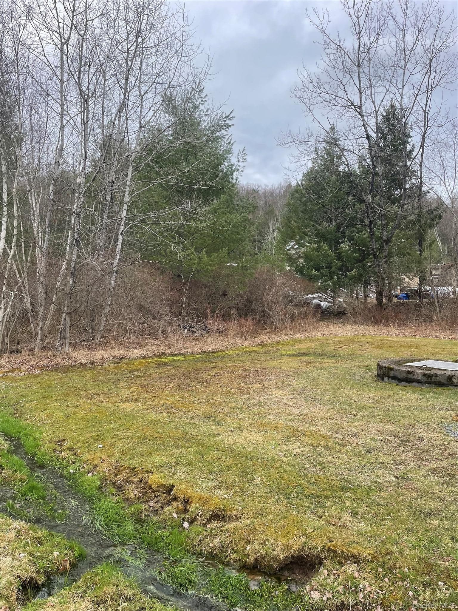 39 Birch Lane thumbnail 5