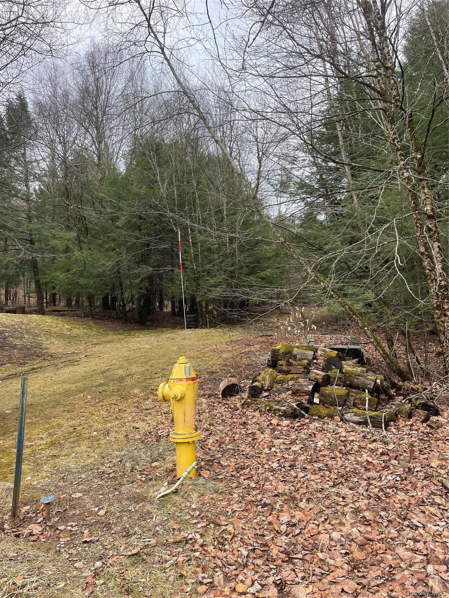39 Birch Lane thumbnail 11
