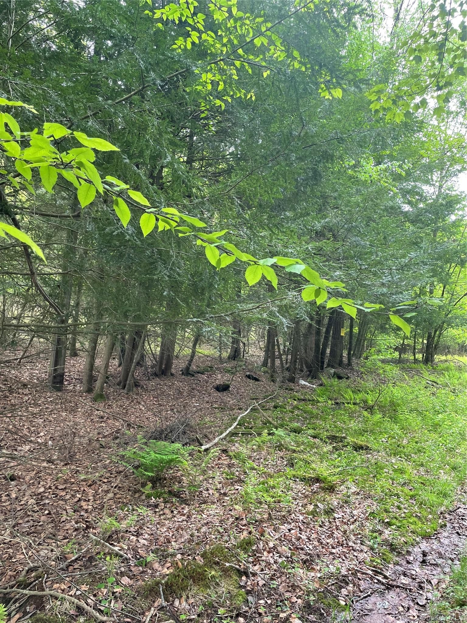 39 Birch Lane thumbnail 12
