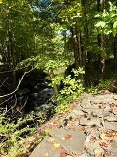 806 Peenpack Trail thumbnail 47