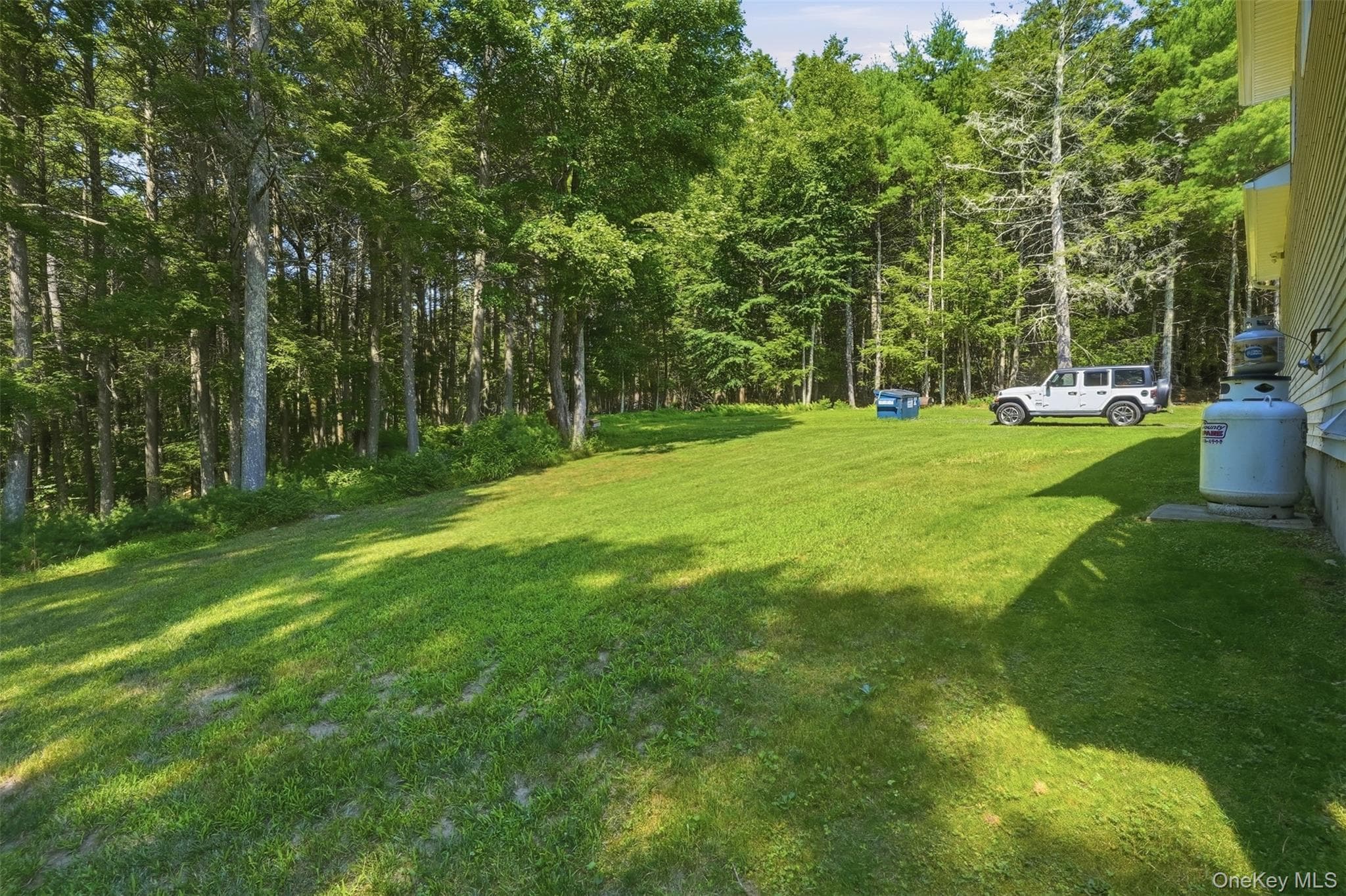 806 Peenpack Trail thumbnail 43
