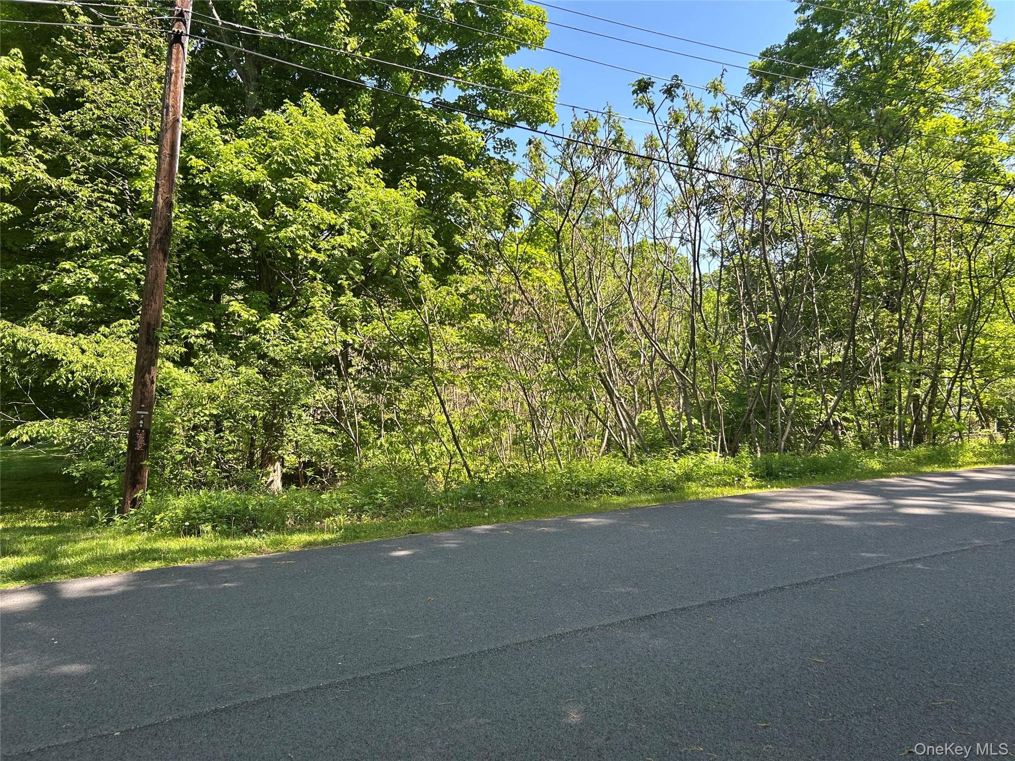 20 Hickory Lane thumbnail 3