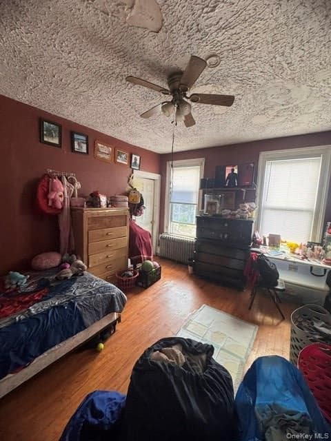 167 Ann Street thumbnail 2