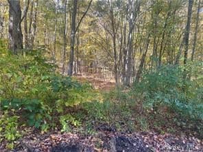 0 Budd Lane, Millerton