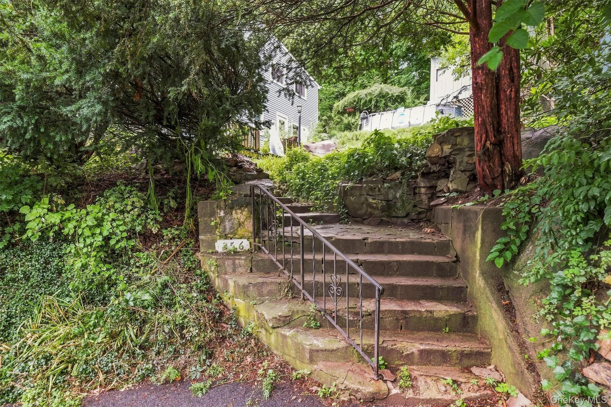 256 Haviland Drive thumbnail 28
