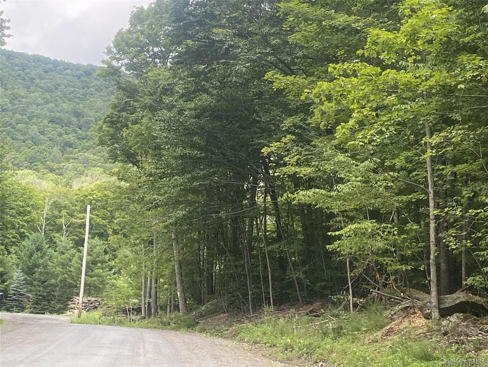 140 Arbor Road thumbnail 13
