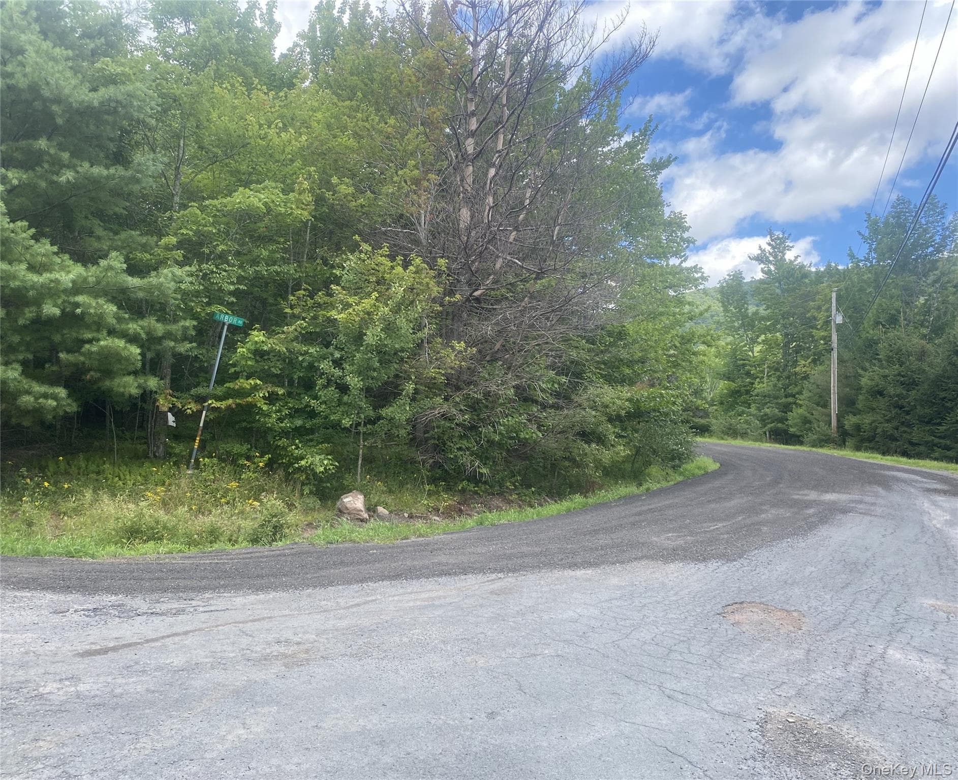 140 Arbor Road thumbnail 14