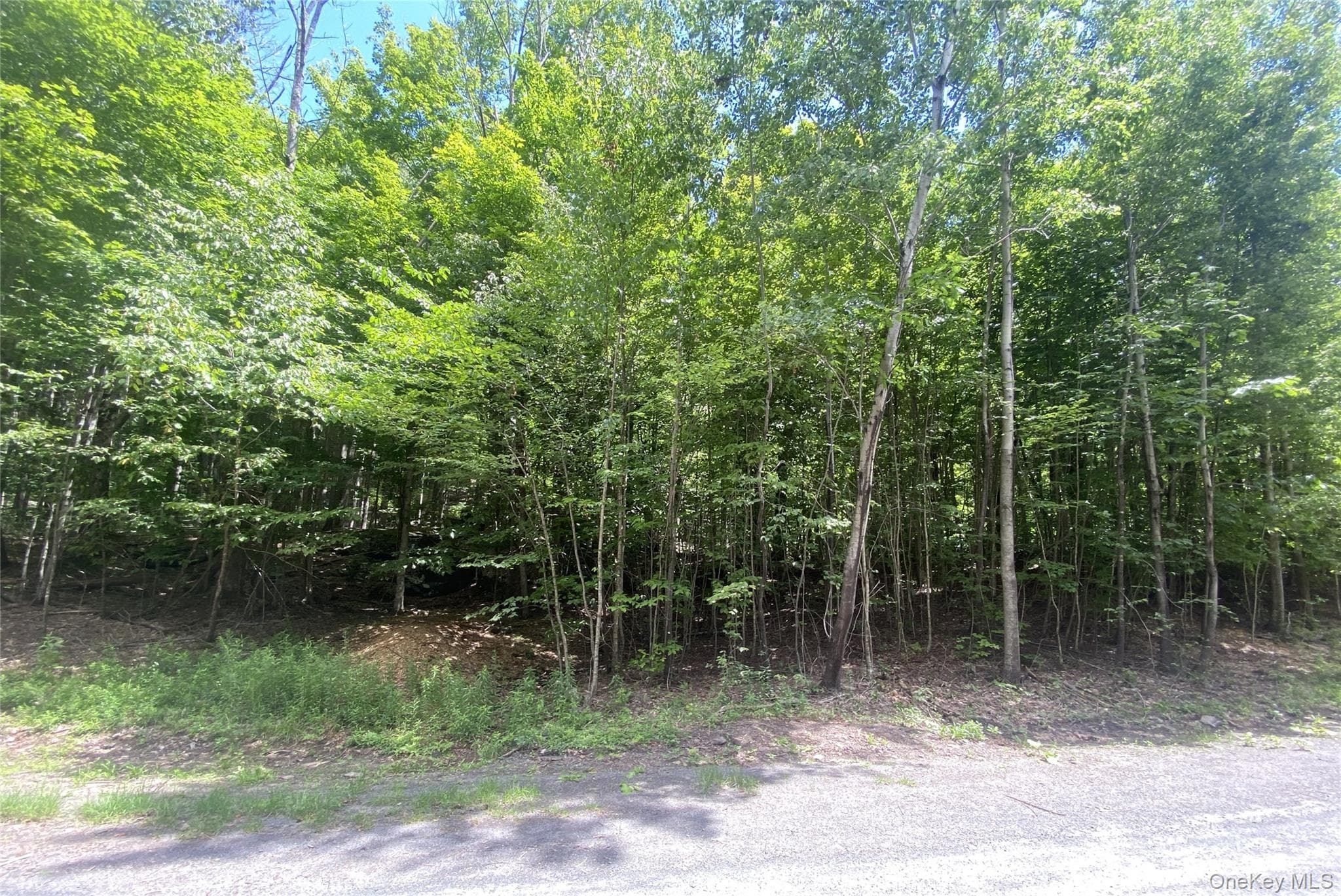 140 Arbor Road thumbnail 9