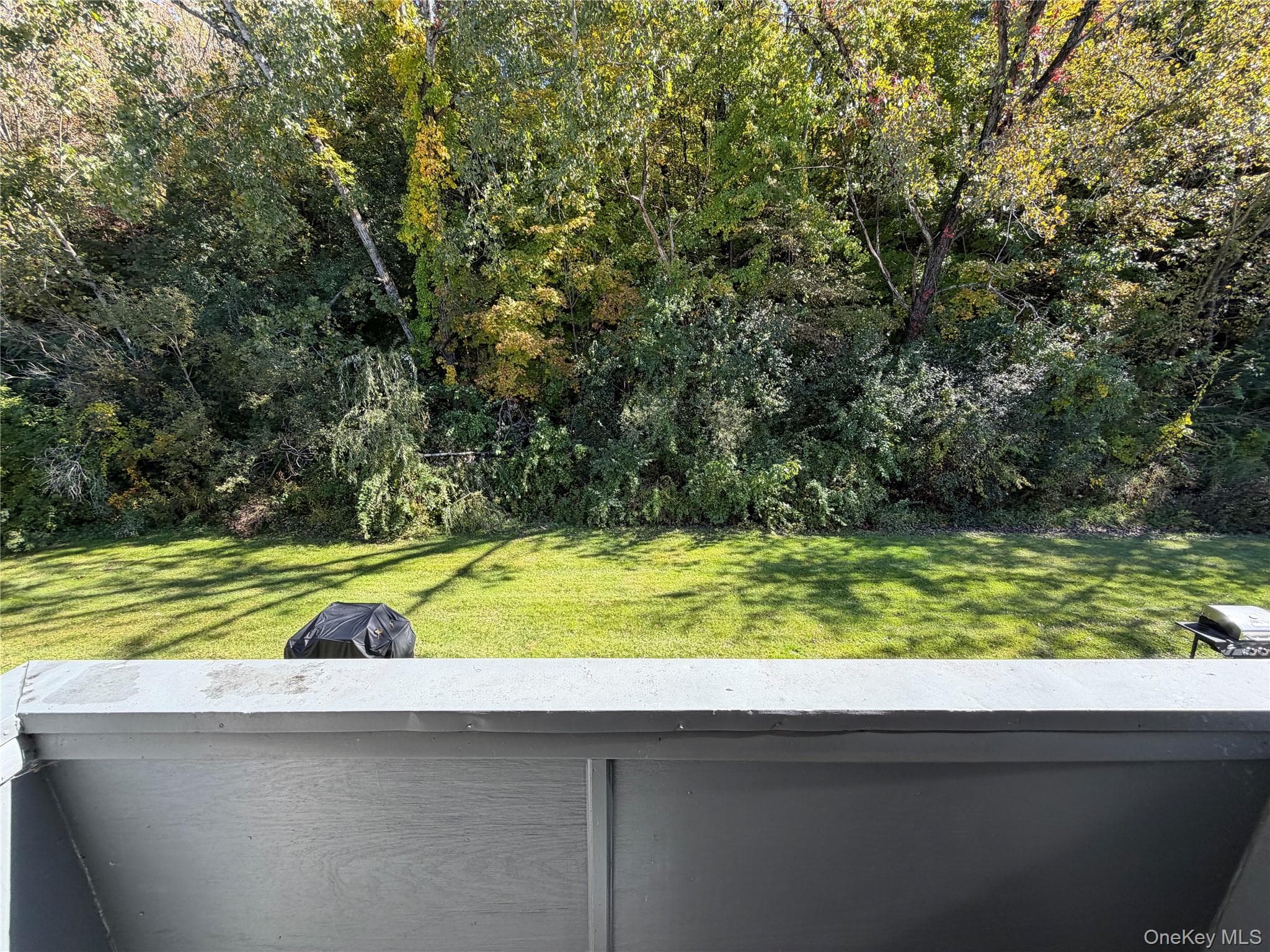 29 Scarborough Lane Unit: D thumbnail 9
