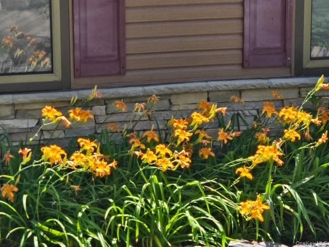 231 Traverse Road thumbnail 3