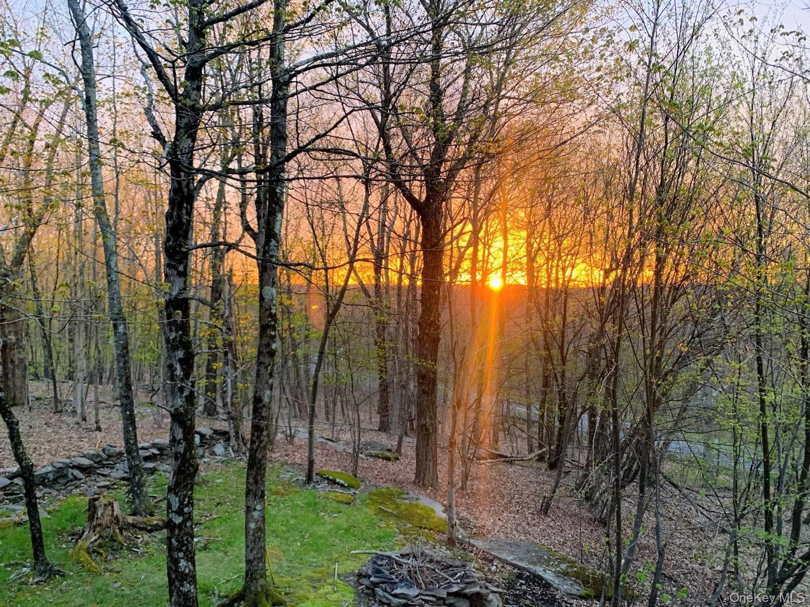 27 Fox Run thumbnail 36