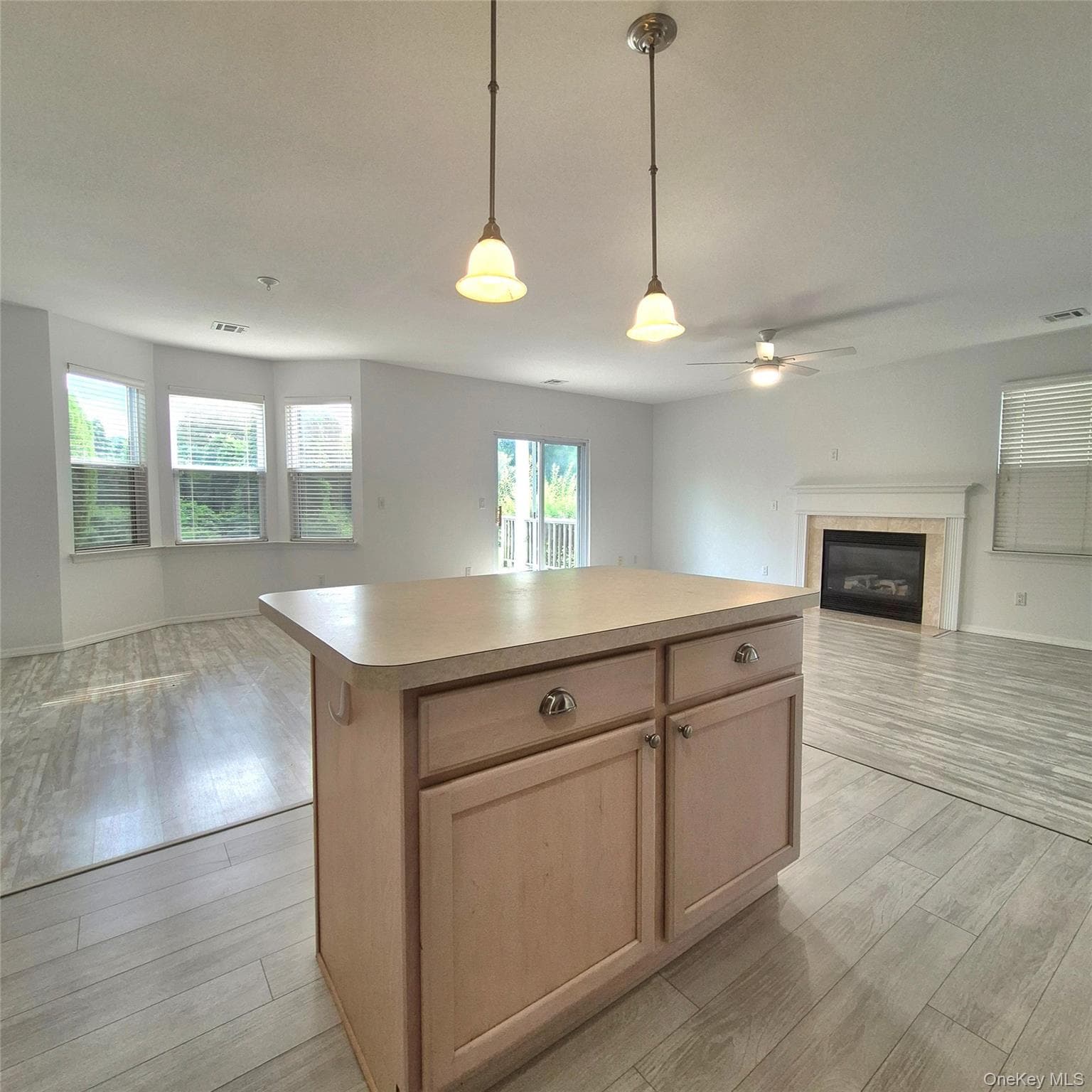 2501 Willow Pond Drive thumbnail 11