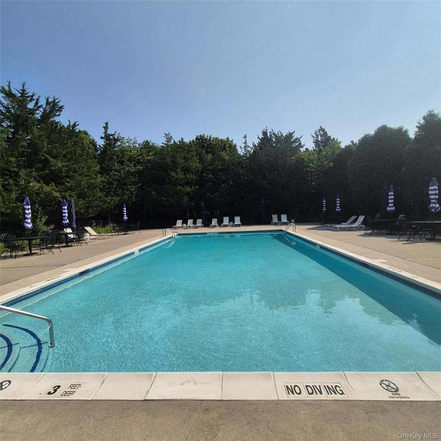 2501 Willow Pond Drive thumbnail 24
