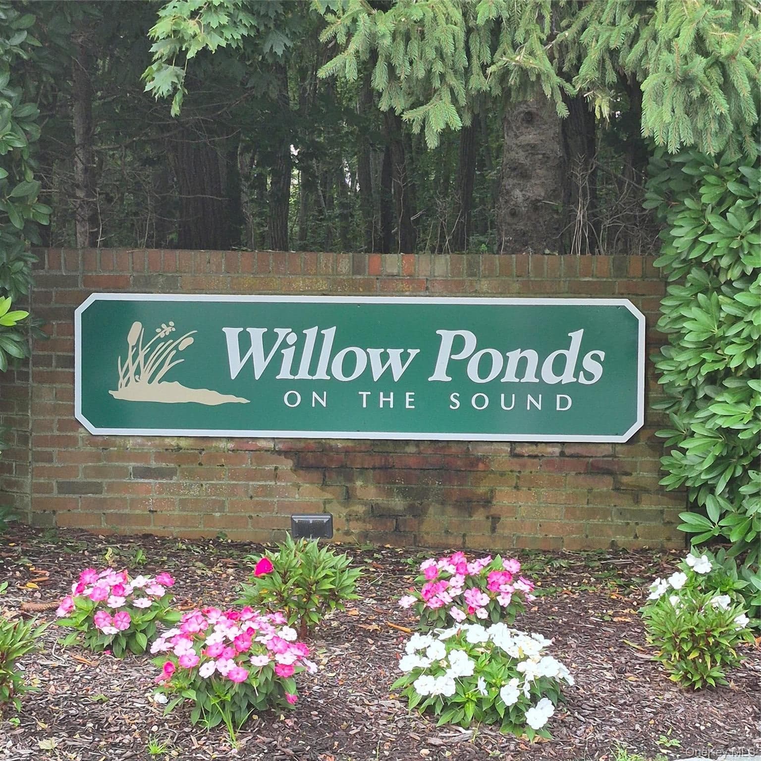 2501 Willow Pond Drive thumbnail 18