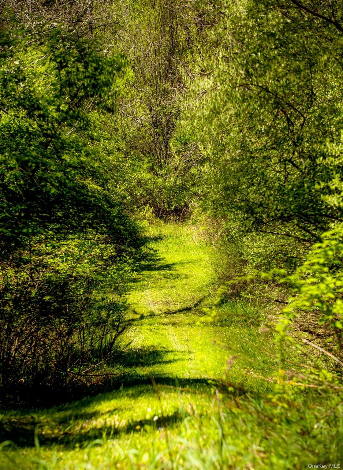 15 Unity Lane thumbnail 36