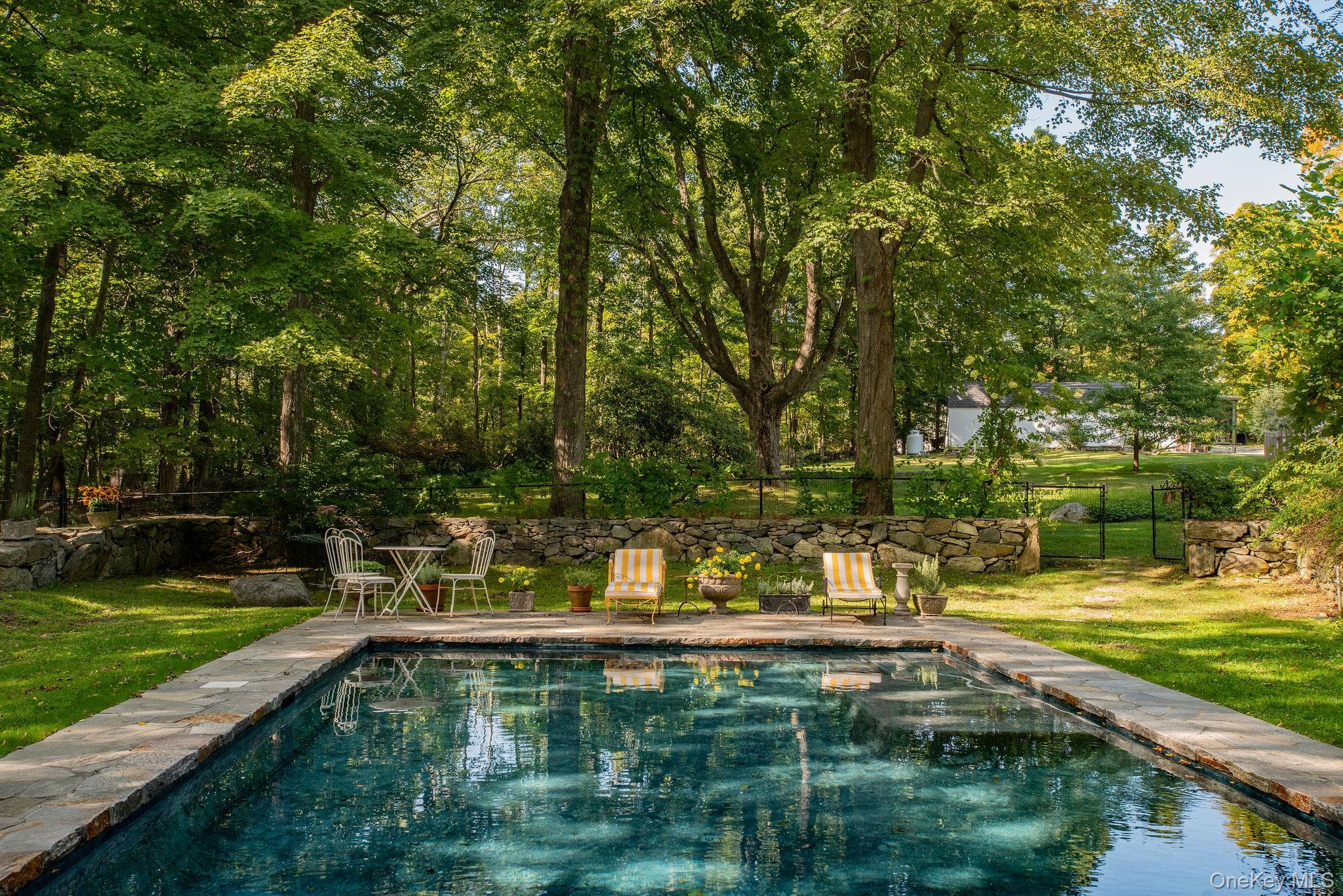 521 Barrett Hill Road thumbnail 18