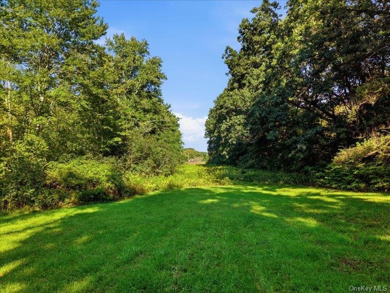 L19 Weibel Avenue photo 1