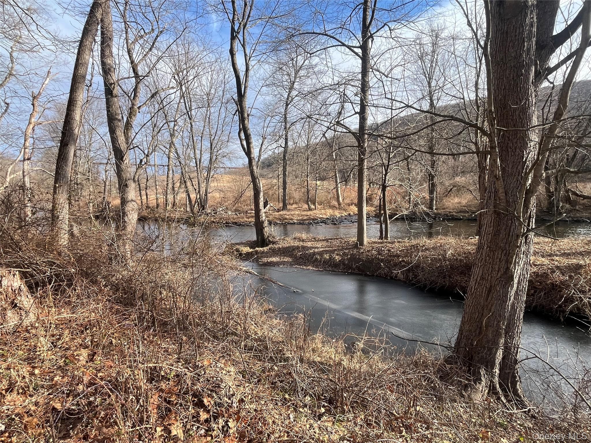 140 Orrs Mills Road thumbnail 5