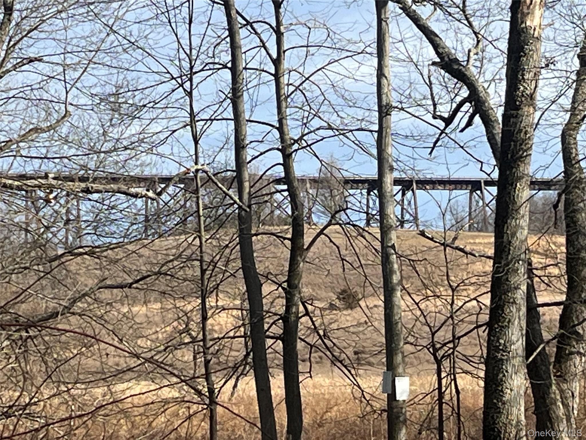 140 Orrs Mills Road thumbnail 8
