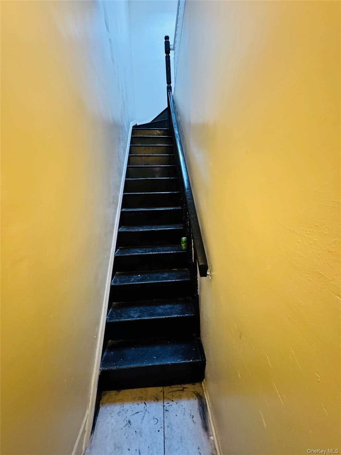 342 E 194th Street thumbnail 2