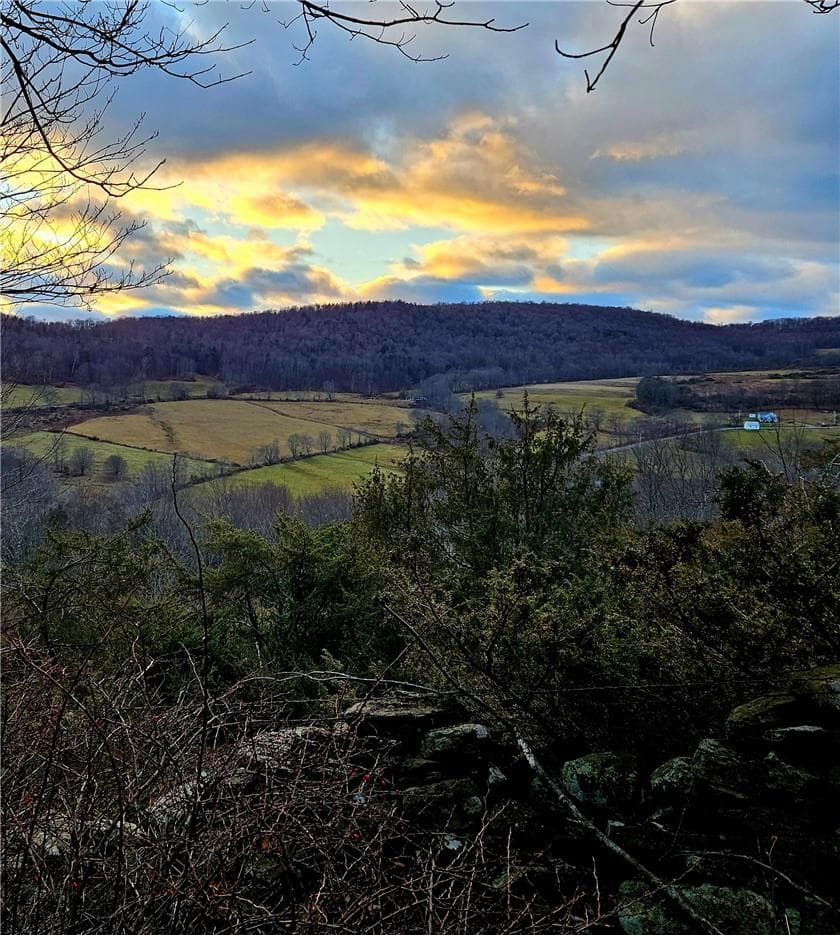 295 Pleasant Valley Road thumbnail 3