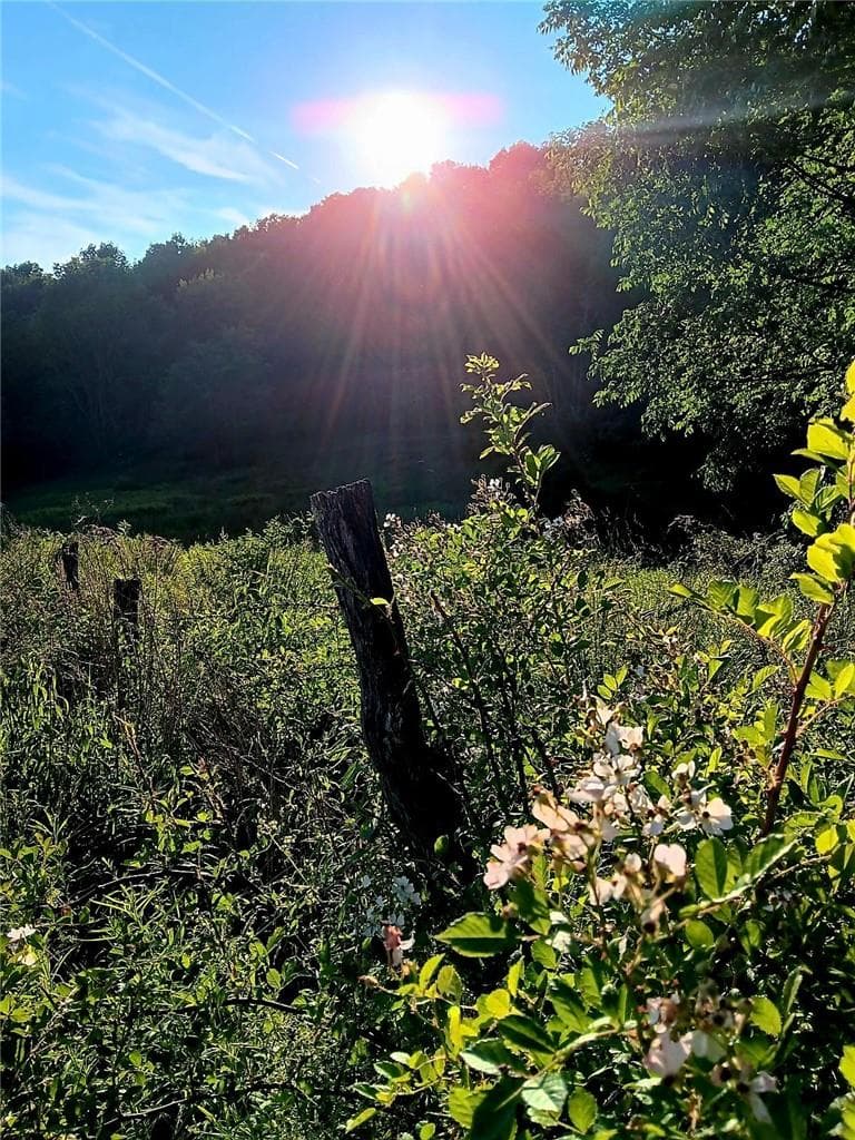 295 Pleasant Valley Road thumbnail 10