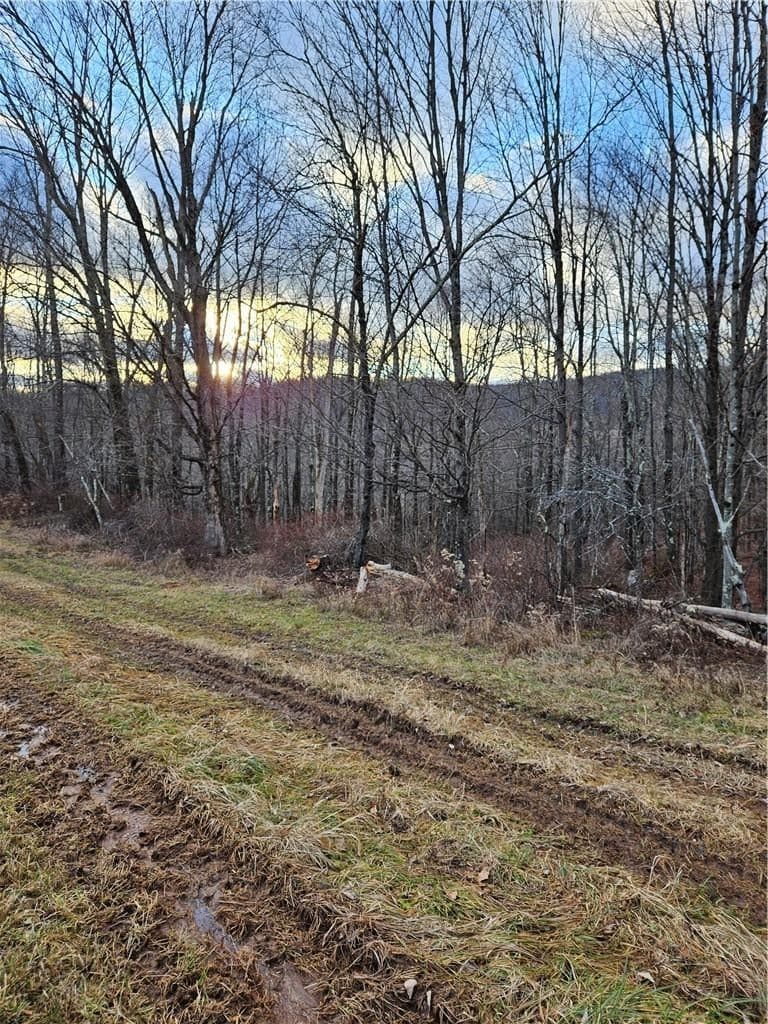 295 Pleasant Valley Road thumbnail 11