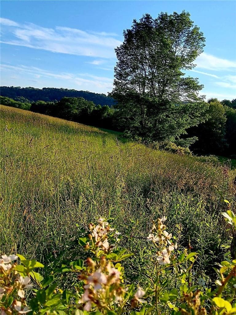 295 Pleasant Valley Road thumbnail 13