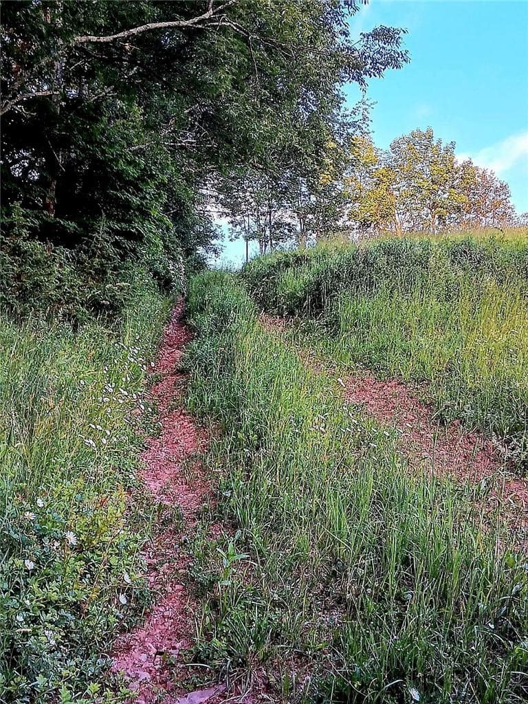 295 Pleasant Valley Road thumbnail 17