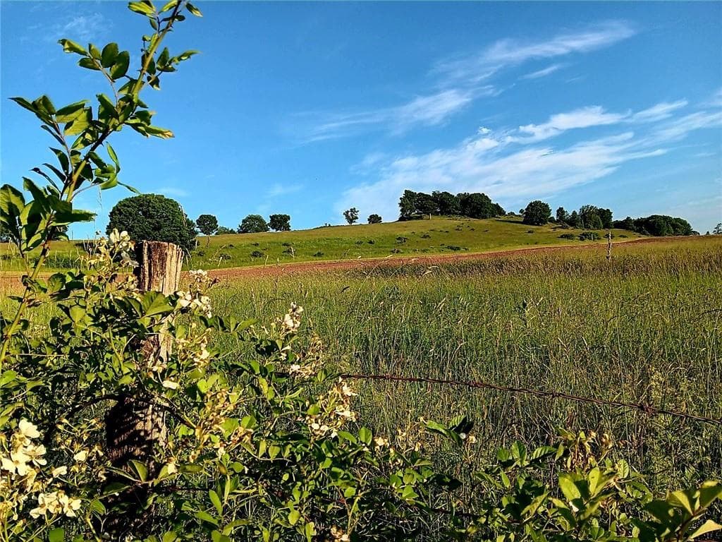 295 Pleasant Valley Road thumbnail 8