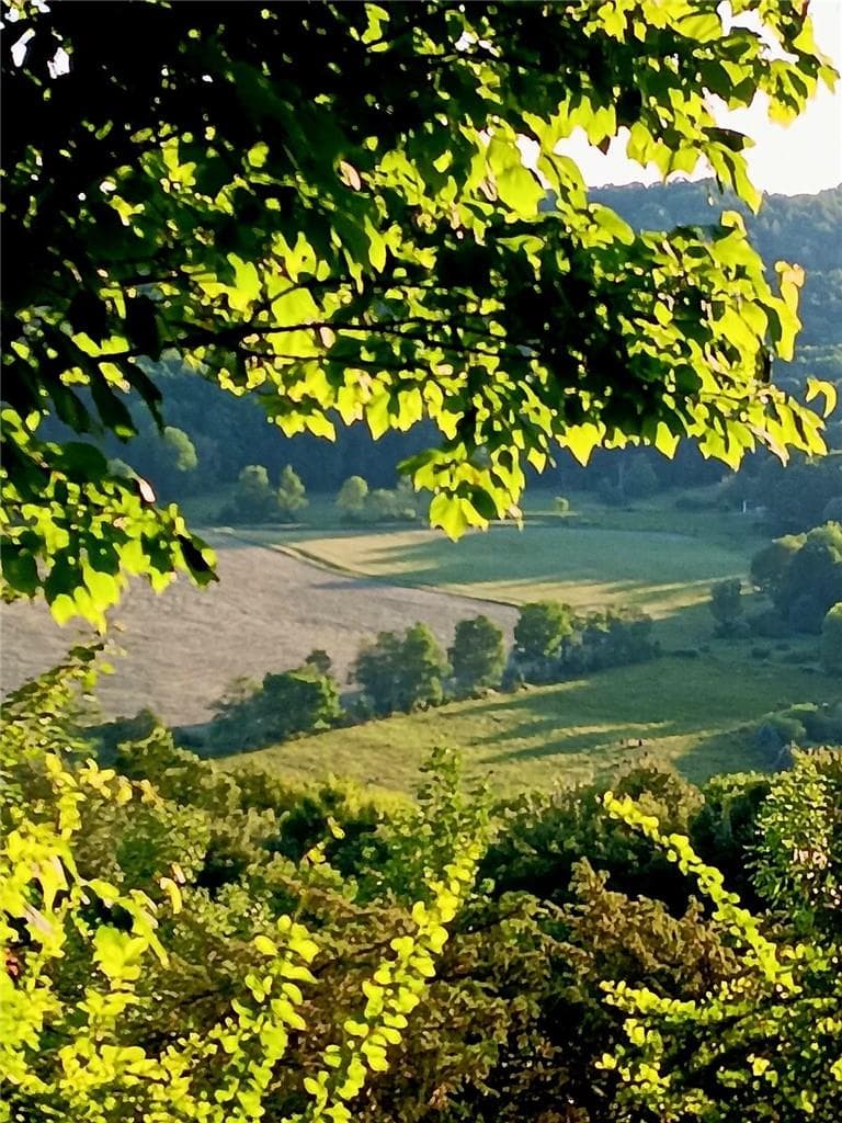 295 Pleasant Valley Road thumbnail 4