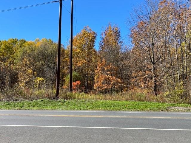 TBD Route 9w thumbnail 2