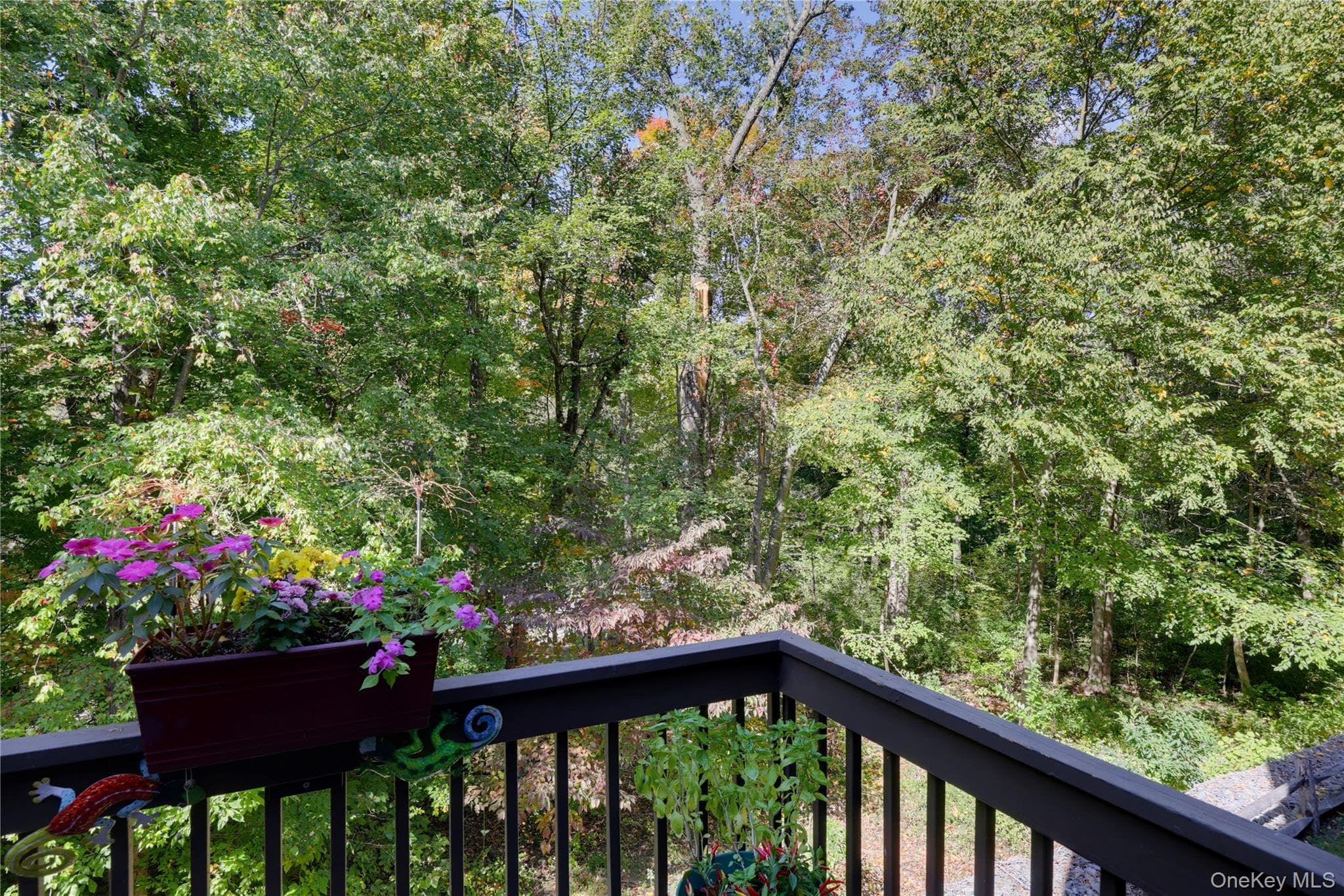 113 Woods Brooke Circle thumbnail 15