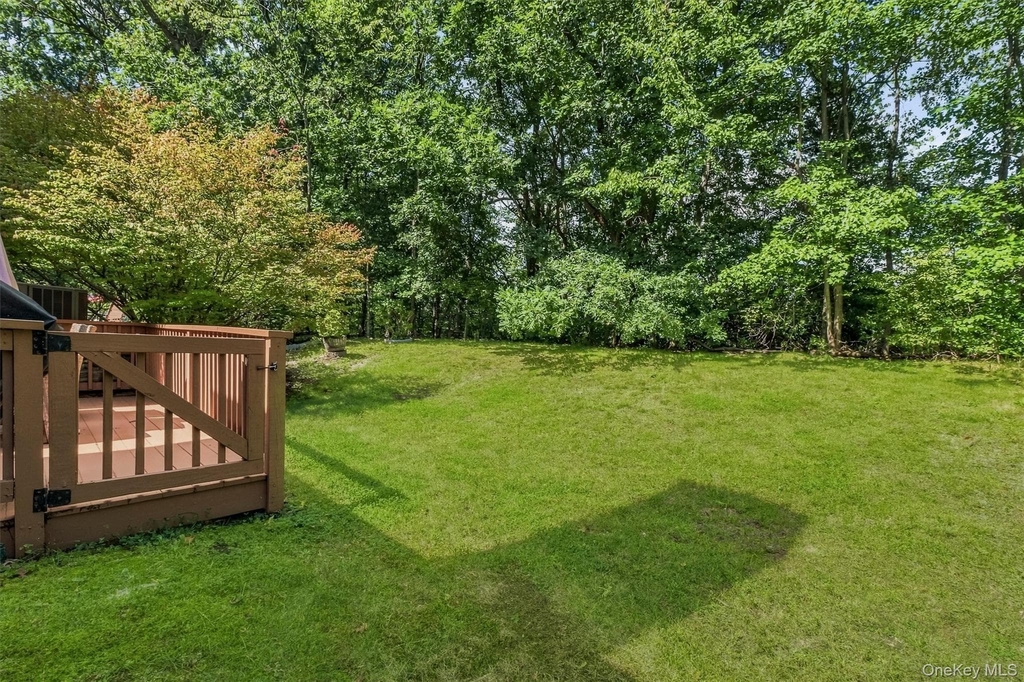 6 N Cambridge Court thumbnail 43