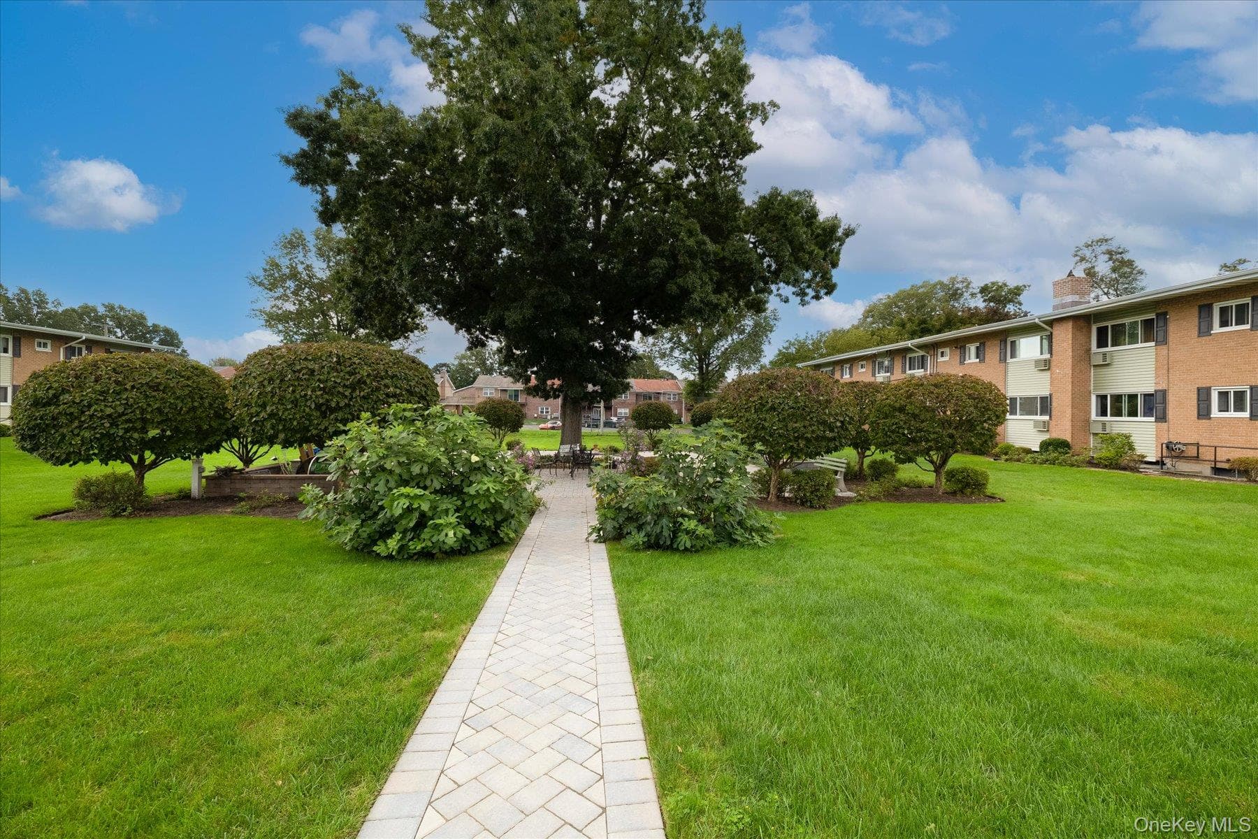 41 Mildred Place Unit: 3B thumbnail 11