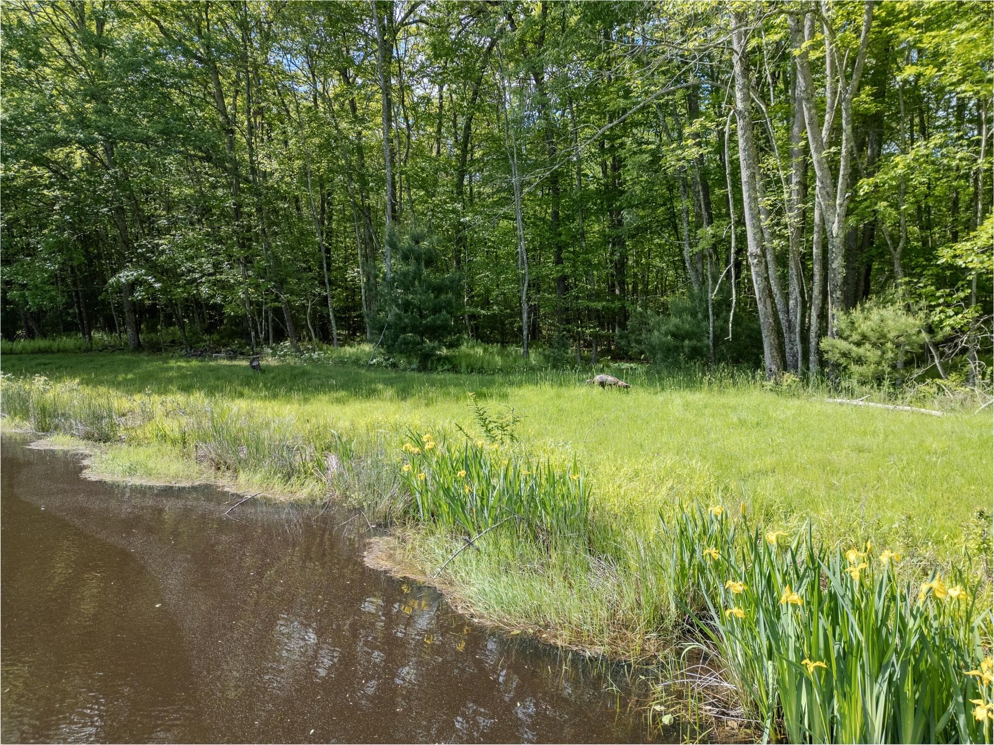 763 County Road 114 thumbnail 8