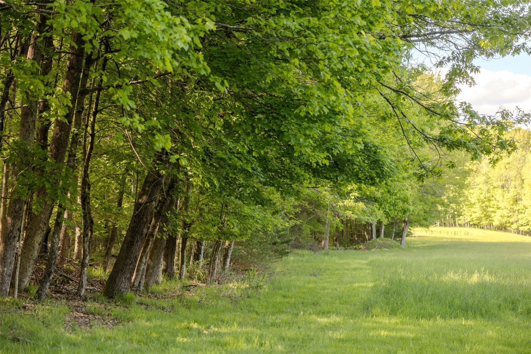 763 County Road 114 thumbnail 20