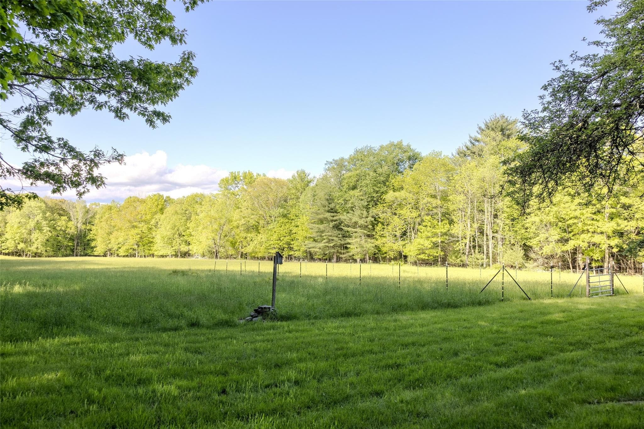 763 County Road 114 thumbnail 21
