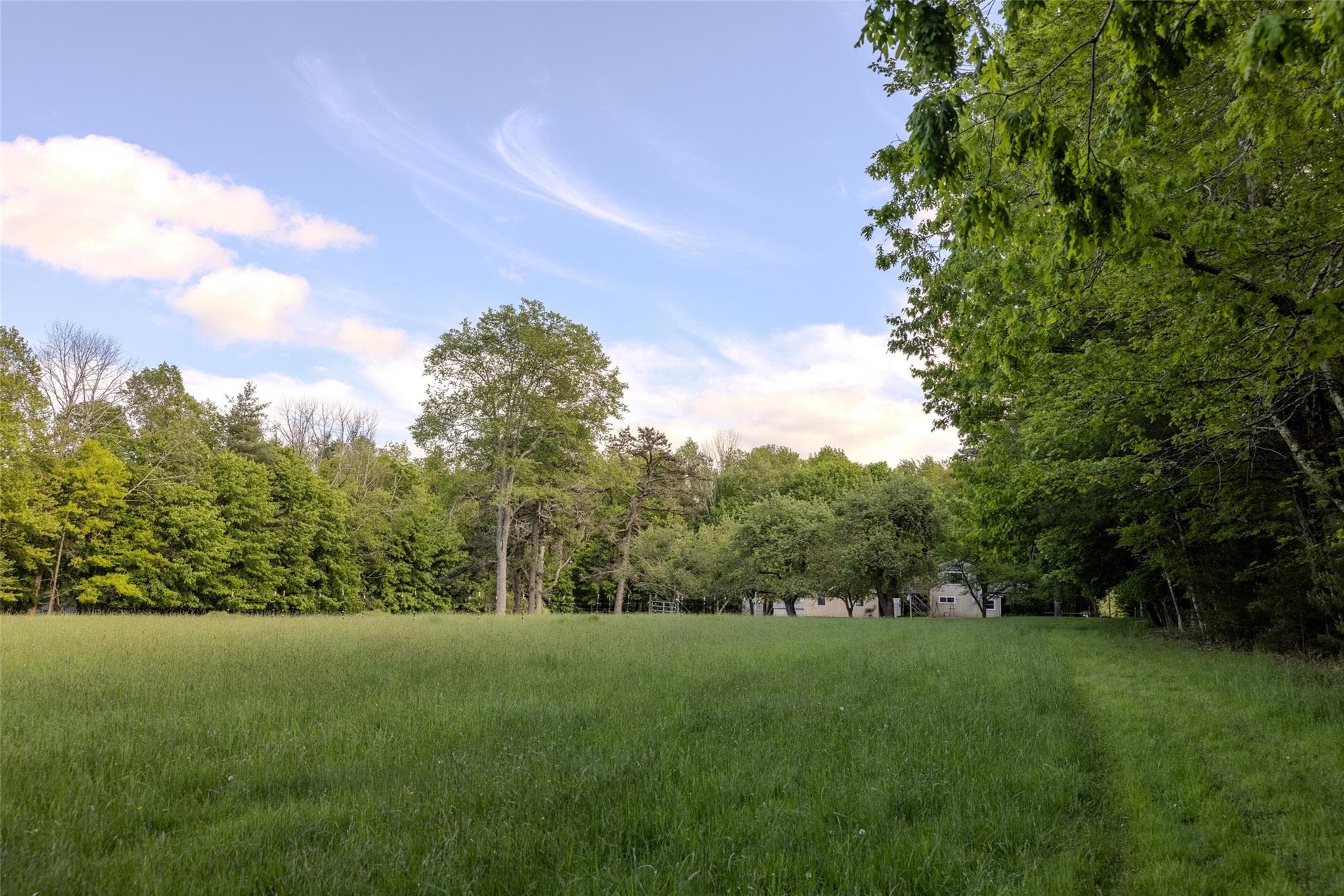 763 County Road 114 thumbnail 26