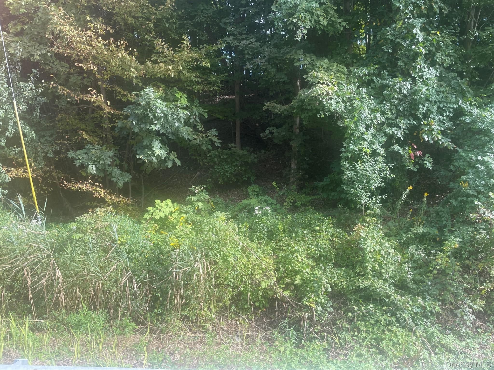 3632 Rte. 9. thumbnail 4